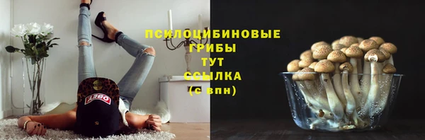 a pvp Богородицк