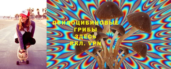 прущий лед Вязники