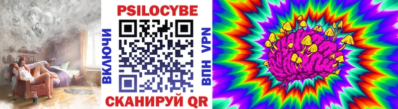 цены наркотик Курильск Псилоцибиновые грибы мицелий